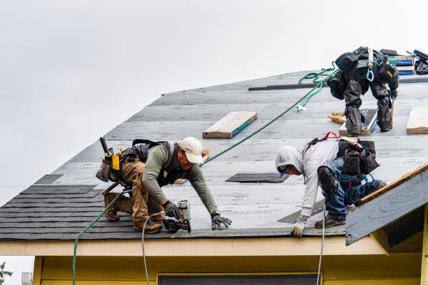 Professional Gutter Installation technician working in New Market, AL